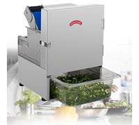 Electric 200W Chopper Commercial Spring Onion Cutter Commercial Scallion Slicer 150kg/hour Large Feed Opening Slices, Dices & Circles for Chili Potato Cucumber Standard(Size:Standard)