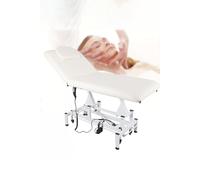 Electric Adjustable Reclining Tattoo Chair - Portable Salon Spa Bed SHEONLY White One Size