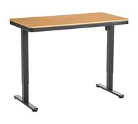 Electric Adjustable Standing Desk PENLY Black/ Light Brown 120 cm 60 cm with USB Port