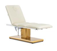 Electric Beauty Bed 3 Motors 300 W 190 x 65 x 60 76 cm 200 kg Cream/gold - Beauty Therapy Beds by Physa Cream,Gold