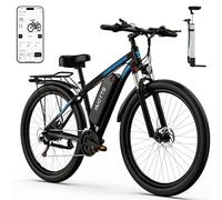 Electric Bike C29, 29'' E-Mountain Bike with 48V 15Ah Removable Battery & 250W High-Performance Motor, Professional 21-Speed with LCD Display, Electric Bicycle for Adults