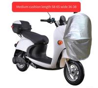 Electric Bike Cover with Waterproof Design Protection for Every Model (L)