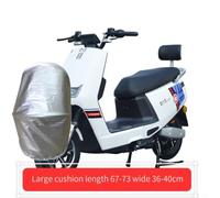 Electric Bike Cover with Waterproof Design Protection for Every Model (XL)