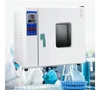 Electric Blast Drying Oven with Intelligent Temperature Control for Industrial and Research Applications