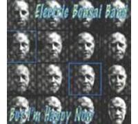 Electric Bonsai Band - But I'm Happy Now