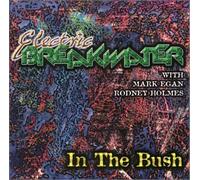 Electric Breakwater with Mark Egan and Rodney Holmes - In The Bush
