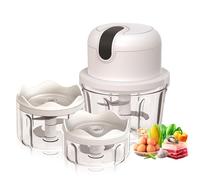 Electric Chopper with USB Port Mini Food Processor 100ml 250ml 300ml Electric Vegetable Slicer with 3 Sharp Blades Multi-Function Garlic Press Meat Vegetable Fruit