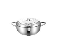 Electric Deep Fryer 2.2L Precise Heat Control | Adjustable 4-gear heat, suitable for onions rings samosas, compact 20cm design, countertop friendly