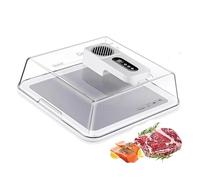 Electric Defrosting Tray, 4.2L Quick Thawing Box with Lid and Intelligent Controller for Frozen Meat, Steak, Chicken, Fish, Shrimp, Seafood
