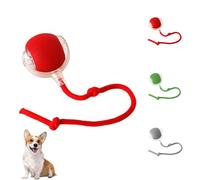 Electric Dog Ball Toy, Interactive Rolling Dog Ball, Interactive Dog Smart Ball Toy, 360° Automatic Self Moving Dog/Cat Toys, Self Rolling Ball Interactive Pet Toy for All Kinds of Surfaces (Red)