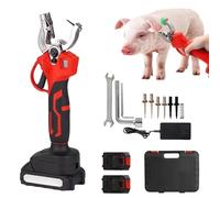 Electric Ear Tag Plier, Rechargeable Livestock Tagging Tool with 2 Batteries, Automatic Rebound, Handheld Animal Ear Tagger with 6 Tag Needle, for Cattle, Pigs, Sheep, Goats, Cows(Counting)