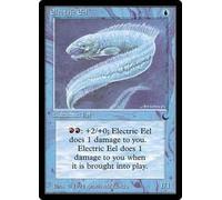 Electric Eel | The Dark