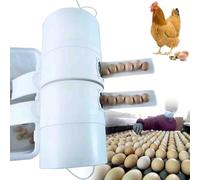 Electric Egg Cleaning Machine for Commercial Use, Automatic Washing Tool for Chicken, Duck, and Goose Eggs