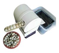 Electric Egg Washing Machine for Fresh Chicken Duck Goose Eggs, High-Capacity Egg Cleaner Tool