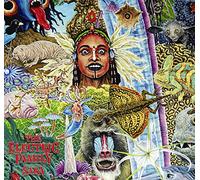 Electric Family - Saba [VINYL]