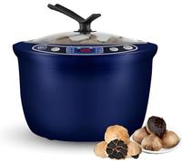 Electric Fermenter Pot, 6L Multi-Functional Garlic Maker with Smart Control Panel for Yogurt, Natto, Sweet Rice, and Fermentation