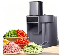 Electric Food Chopper 100W, 3-in-1 Vegetable & Fruit Dicer Machine with Slicing & Shredding Attachments, Safety Protection Food Processor for Efficient Meal Prep