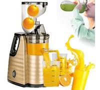 Electric Fruit Vegetable Separation Juice, Multifunctional Centrifugal Juicer Household Slow Juicer Cooking Machine for Fruit and Vegetable Juice, Fresh Juice