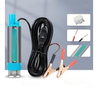 Electric Fuel Transfer Pump, 30 L/min 100W DC 38Mm Submersible Diesel Water Motor Oil Transfer Pump, For Various Transferring Needs(12V with for alligator clip)
