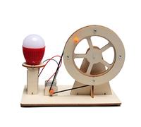 Electric Generator Toy with Manual Crank Generator Science Kit,Electricity Generator Toy | Stem Educational Projects, Physics Experiment, Fun
