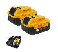 Electric Goddess Lithium Battery 20V 5.0ah Replacement Compatible for Dewalt Power Tool Rechargeable Lithium Battery (2 Battery 1 Charger,EU_20V)