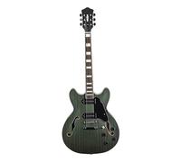 Electric Guitar Electric Guitar Semi Hollow Body Matte Finished 6 Strings Professional Performance Sapele Wood(Green)