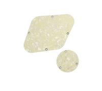Electric Guitar Pickguard Set Professional Two Pack LP Style Guitar Back Plate Control Converter Cavity Cover(Aged 4ply)