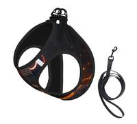 Electric Guitar Print Reflective No Choke Pet Vest Harness,Adjustable Soft Padded Dog Harness With Easy Control Handle