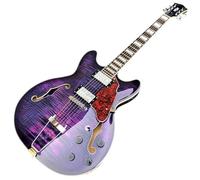 Electric Guitar Professional Purple Maple Semi Hollow Archtop Electric Guitar F Holes 6 String Musical Instruments