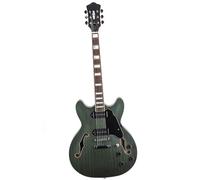 Electric Guitar Starter Beginner Pack Semi Hollow Jazz Electric Guitar With Dual P90 Pickups(Black)