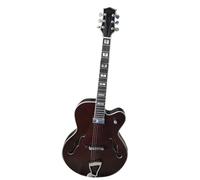 Electric Guitar Starter Kit Brown Single Cut Rounded Corner Fully Hollow Suspended Single Pickup Jazz Guitar