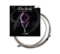 Electric Guitar Strings Nickel Steel Signature 7 String Set. Nickel Wound Guitar Strings Light Top/Heavy Bottom, Soft Electric Guitar Strings for a Superior Tone and Sustainability, 10-60, 2504C