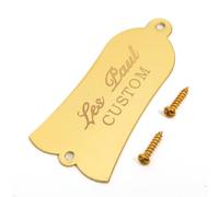 Electric Guitar Truss Rod Cover Plate 2-Hole/3-Hole Metal Replacement with Screws in Black/Gold/Chrome, Compatible with LP & ST Style Guitars (SN01)