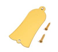 Electric Guitar Truss Rod Cover Plate 2-Hole/3-Hole Metal Replacement with Screws in Black/Gold/Chrome, Compatible with LP & ST Style Guitars (SN06)