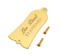 Electric Guitar Truss Rod Cover Plate 2-Hole/3-Hole Metal Replacement with Screws in Black/Gold/Chrome, Compatible with LP & ST Style Guitars (SN02)