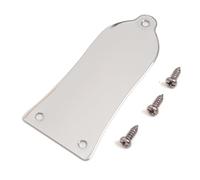 Electric Guitar Truss Rod Cover Plate 2-Hole/3-Hole Metal Replacement with Screws in Black/Gold/Chrome, Compatible with LP & ST Style Guitars (SN10)