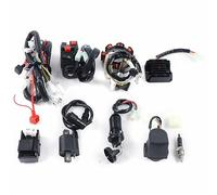 Electric Harness CDI Stator Kit CDI Wire Harness Wiring Loom Coil Rectifier KITS Full Electrics Wiring Harness Wire Loom CDI Stator Motorcycle Parts Fit for 150cc 250CC 300CC ATV Quad Dirt Bike