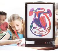 Electric Heart Model for Blood Circulation Teaching, Human Heartbeat Display for Science Research, Educational Demonstration Tool, Anatomy Learning Aid