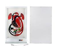 Electric Heart Model with Blood Circulation System for Science Teaching and Lab Demonstrations
