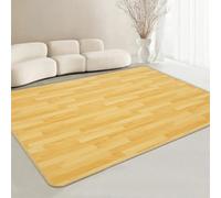 Electric Heated Area Rug,Large Pet Heating Pad,Adjustable Temperature Heated Floor Mat,Waterproof Foot Warmer for Yoga, Pilates,Exercise(D,50x60cm)