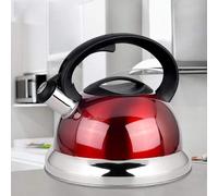 Electric Kettle 304 Stainless Steel Electric Kettle Gas Whistling Kettle Large Capacity Induction Cooker Universal Boiling Kettle Auto Shut Off and Boil Dry Protection Tech (color : Silver) lofty