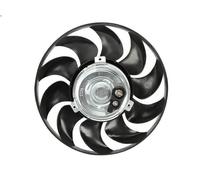Electric Motor, radiator fan THERMOTEC D8W024TT for 80 B4 Saloon (8C2) 2 1991-