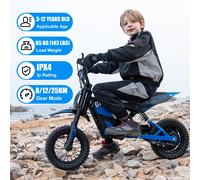 Electric Motorcycle EV12M Evercross 300W Motor 36V/4AH E Bike Best Gift for Kids