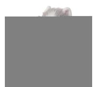 Electric Plush Dog, Soft Huggable Design, 20x15x28cm, Interactive Walking Plush Robots Dog Toys, Battery Powered Puppy, Fun Pretend Play Experience, For Kids Boys Girls