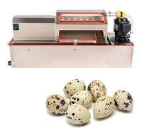 Electric Quail Egg Peeler, Commercial Stainless Steel Shelling Machine, 25W, 70kg/h Efficient Peeling Tool for Boiled Quail Eggs, Food Processing Appliance