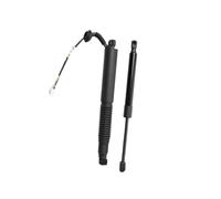 Electric Rear Hatch Lift Struts 1551488-99-B 1551489-00-B 1091560-00-B 1551488-00-C For Tesla For Model 3