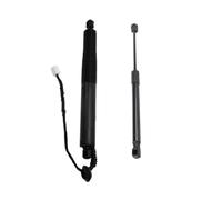 Electric Rear Hatch Lift Struts 1551488-99-B 1551489-00-B For Tesla For Model 3 2021-2023 Rear Left Right