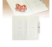 Electric Server Warming Tray, Folding Food Warmer Plate, 30-120 °C Adjustable Temperature Control, 10 Gear Temp, 12 Hours Timer, Food Insulation Board Household Folding Heating Food Warmer Plate