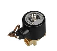 Electric Solenoid Valve 1/4" 3/8" 1/2" 3/4" 1" DN8/10/15/20/25/50 Normally Closed Pneumatic for Water Oil Air 12V 24V 220V 110V(DC24V,DN50)
