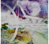 Electric Soul Pandemic - Sensory Perception